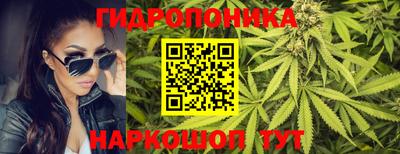 крисы Донецк