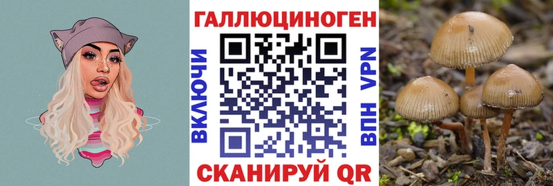 Псилоцибиновые грибы мицелий закладка Менделеевск
