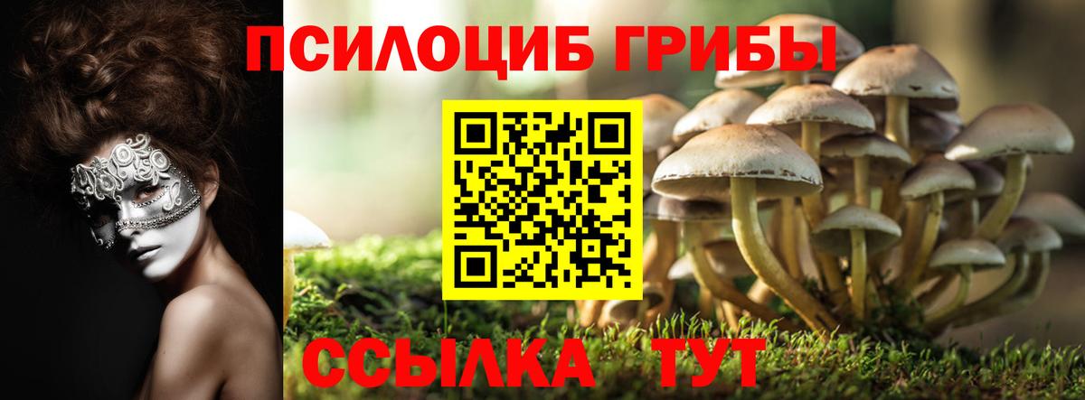 Псилоцибиновые грибы MAGIC MUSHROOMS  Вход с VPN  купить наркоту  Менделеевск 